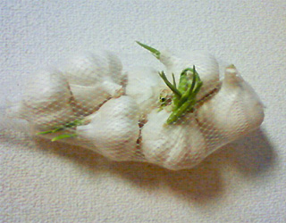 ファイル 200-1.jpg