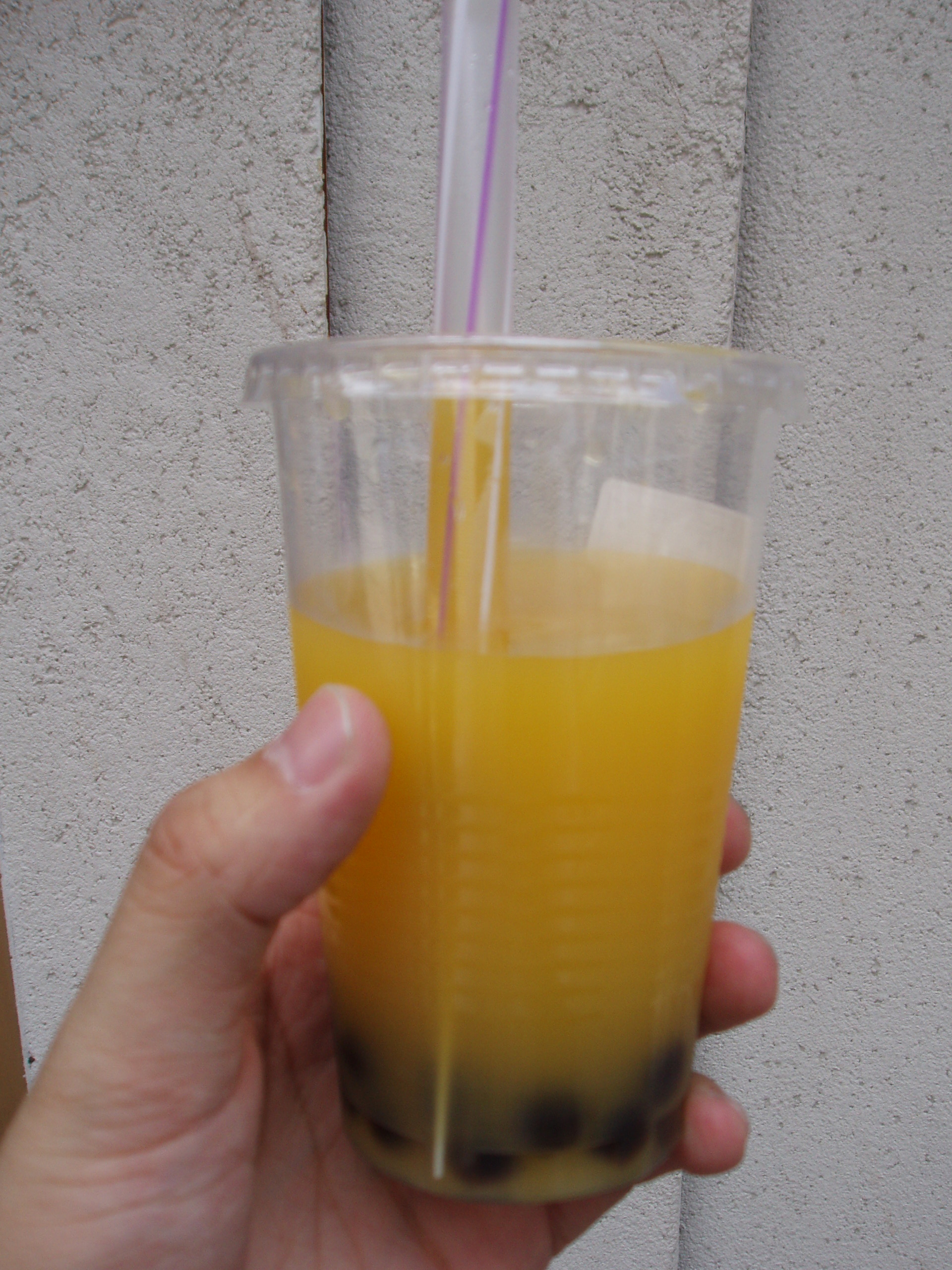 ファイル 259-1.jpg